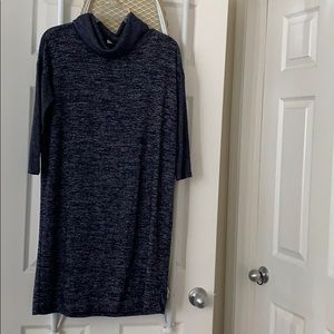 GAP Cowlneck Sweater Dress